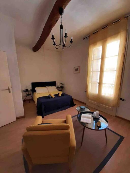 Historic French Townhouse Villa Saint-Thibéry Eksteriør billede