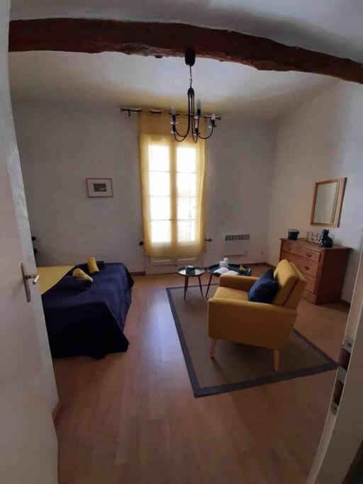 Historic French Townhouse Villa Saint-Thibéry Eksteriør billede
